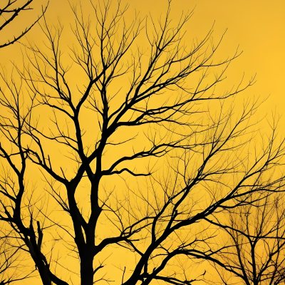 Bare Tree Branches Against A Vibrant Yellow Sky Creating An Abstract And Moody Autumn Scene 2 Eaed