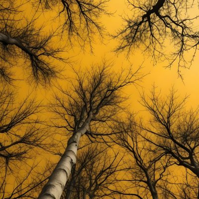 Bare Tree Branches Against A Vibrant Yellow Sky Creating An Abstract And Moody Autumn Scene 33 Ebe3