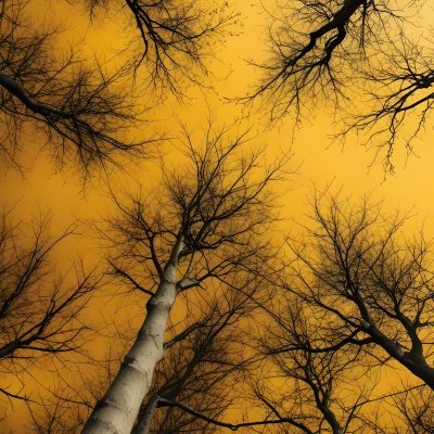 Bare Tree Branches Against A Vibrant Yellow Sky Creating An Abstract And Moody Autumn Scene 36 5782
