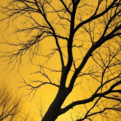 Bare Tree Branches Against A Vibrant Yellow Sky Creating An Abstract And Moody Autumn Scene 4 F4ce