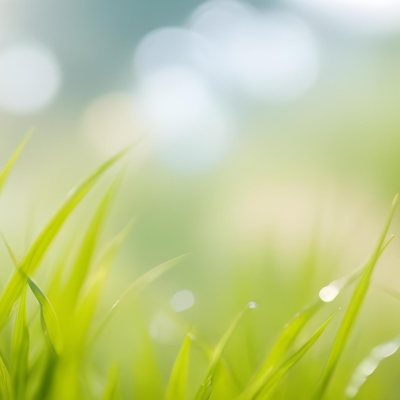 Blurred Green Grass And Foliage With A Bright Hazy Sky In The Background 20 162f