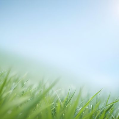 Blurred Green Grass Field