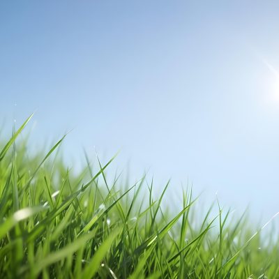 Blurred Green Grass Field With A Clear Blue Sky In The Background 15 A5c9
