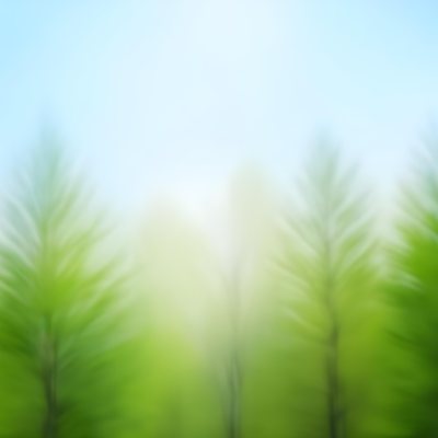 Blurred Image Of Green Trees With A Blue Sky In The Background Natural Light Natural Colors Out Of Focus Nature Photography 17 9ea3