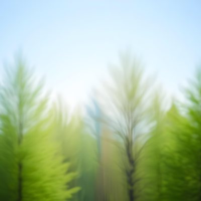 Blurred Image Of Green Trees With A Blue Sky In The Background Natural Light Natural Colors Out Of Focus Nature Photography 19 B7b2