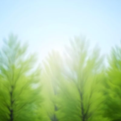 Blurred Image Of Green Trees With A Blue Sky In The Background Natural Light Natural Colors Out Of Focus Nature Photography 26 9f17
