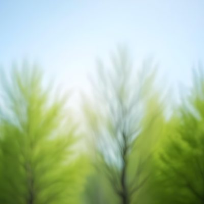Blurred Image Of Green Trees With A Blue Sky In The Background Natural Light Natural Colors Out Of Focus Nature Photography 27 45e9