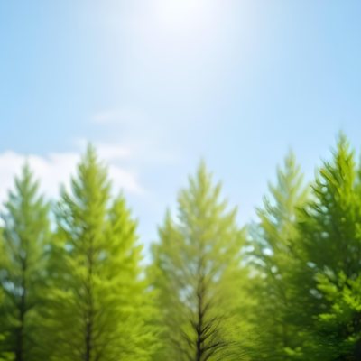 Blurred Image Of Green Trees With A Blue Sky In The Background Natural Light Natural Colors Out Of Focus Nature Photography 29 Fe38