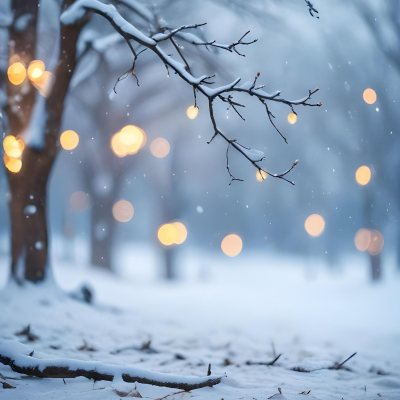 Blurred Winter Landscape With Falling Snow Bare Tree Branches And Warm Bokeh Lights In The Background 27 D869