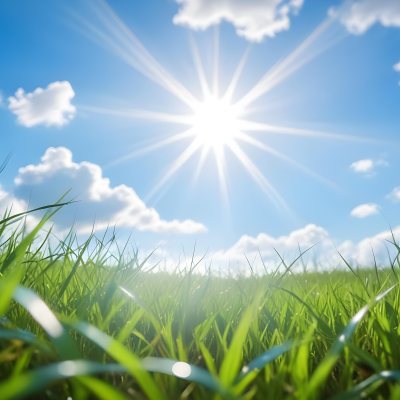 Bright Blue Sky With Sun Rays Blurred Green Grass In The Foreground 14 6809