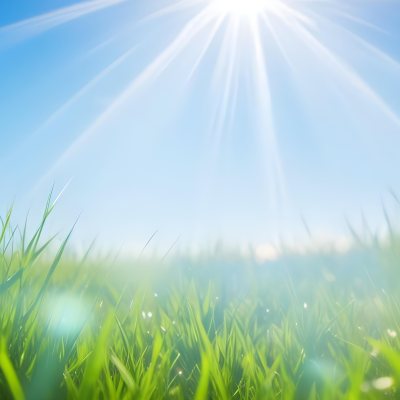 Bright Blue Sky With Sun Rays Blurred Green Grass In The Foreground 7 F6b6
