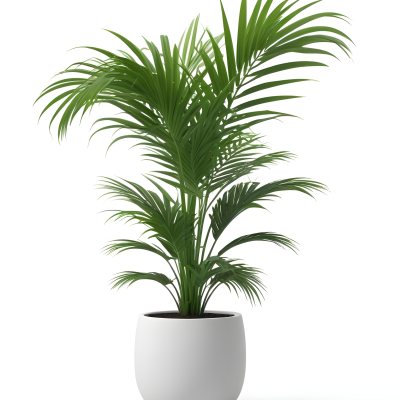 3d Model A Green Areca Palm Plant In A White Pot The Background Is Plain White The Plant Is Lush And Healthy The Pot Is Simple And Modern Figure Octane Render Volumetric Highly Detailed Videogame Aesthetic 14 7751