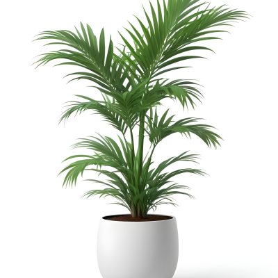 3d Model A Green Areca Palm Plant In A White Pot The Background Is Plain White The Plant Is Lush And Healthy The Pot Is Simple And Modern Figure Octane Render Volumetric Highly Detailed Videogame Aesthetic 16 9464