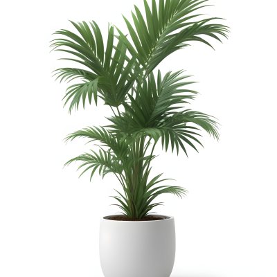 3d Model A Green Areca Palm Plant In A White Pot The Background Is Plain White The Plant Is Lush And Healthy The Pot Is Simple And Modern Figure Octane Render Volumetric Highly Detailed Videogame Aesthetic 18 5b61