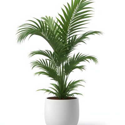 3d Model A Green Areca Palm Plant In A White Pot The Background Is Plain White The Plant Is Lush And Healthy The Pot Is Simple And Modern Figure Octane Render Volumetric Highly Detailed Videogame Aesthetic 5 C355