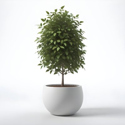 3d Model A Small Tree With Green Leaves In A White Pot The Background Is Gray The Lighting Is Soft And Diffused The Composition Is Simple And Clean Figure Octane Render Volumetric Highly Detailed Videogame Aesth 25 C76d