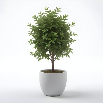 3d Model A Small Tree With Green Leaves In A White Pot The Background Is Gray The Lighting Is Soft And Diffused The Composition Is Simple And Clean Figure Octane Render Volumetric Highly Detailed Videogame Aesth 32 Cd2a
