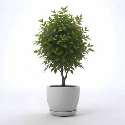 3d Model A Small Tree With Green Leaves In A White Pot The Background Is Gray The Lighting Is Soft And Diffused The Composition Is Simple And Clean Figure Octane Render Volumetric Highly Detailed Videogame Aesth 34 3baf