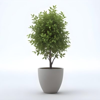3d Model A Small Tree With Green Leaves In A White Pot The Background Is Gray The Lighting Is Soft And Diffused The Composition Is Simple And Clean Figure Octane Render Volumetric Highly Detailed Videogame Aesth 6 8173