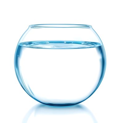 3d Model Fishbowl With Clear Water Transparent Glass Round Shape Smooth Surface Water Level Near The Top Clean And Simple Design White Background Figure Octane Render Volumetric Highly Detailed Videogame Aest 26 1d44
