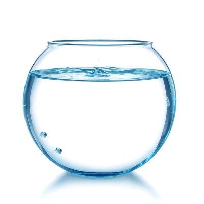 3d Model Fishbowl With Clear Water Transparent Glass Round Shape Smooth Surface Water Level Near The Top Clean And Simple Design White Background Figure Octane Render Volumetric Highly Detailed Videogame Aest 4 55d3