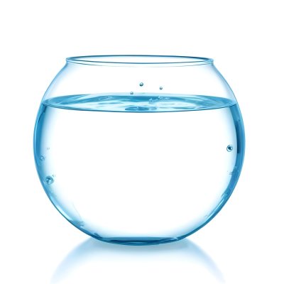 3d Model Fishbowl With Clear Water Transparent Glass Round Shape Smooth Surface Water Level Near The Top Clean And Simple Design White Background Figure Octane Render Volumetric Highly Detailed Videogame Aest 47 4449