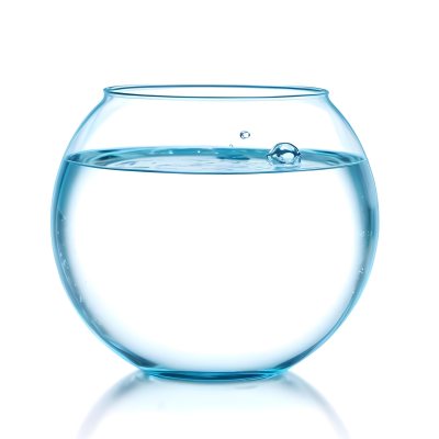 3d Model Fishbowl With Clear Water Transparent Glass Round Shape Smooth Surface Water Level Near The Top Clean And Simple Design White Background Figure Octane Render Volumetric Highly Detailed Videogame Aest 54 67ad
