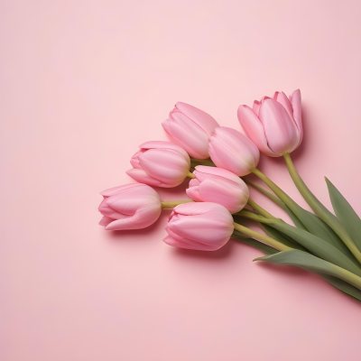 A Bouquet Of Pink Tulips In A Glass Vase Against A Pink Background 99 3f90
