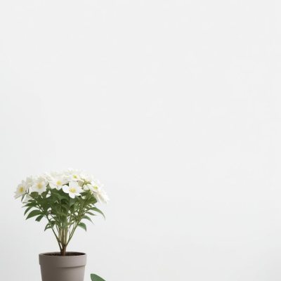 A Bouquet Of White Daisy Like Flowers With Green Leaves In A White Vase On A Plain Background 4 C222