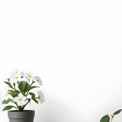 A Bouquet Of White Daisy Like Flowers With Green Leaves In A White Vase On A Plain Background 7 74dd