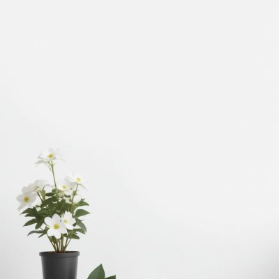 A Bouquet Of White Daisy Like Flowers With Green Leaves In A White Vase On A Plain Background 7 E366