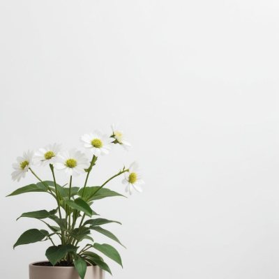 A Bouquet Of White Daisy Like Flowers With Green Leaves In A White Vase On A Plain Background 9 8254