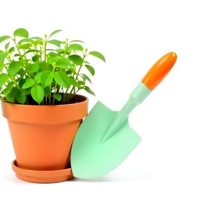 A Potted Green Plant With Large Leaves Against A White Background 3