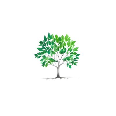 A Tree With Green Leaves And A White Trunk Isolated On A White Background Minimalist Design Nature Inspired Clean Lines Vibrant Colors Eco Friendly Concept 241 93b4