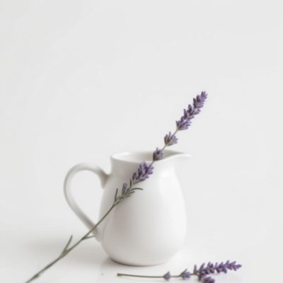 A White Ceramic Pitcher With A Sprig Of Lavender In It Another Sprig Of Lavender Is Lying On The White Surface 34 Eb1e