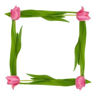 Pink Tulips Arranged In A Circular Frame On A Gray Background 10 Ba5f