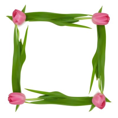 Pink Tulips Arranged In A Circular Frame On A Gray Background 11 Cba6