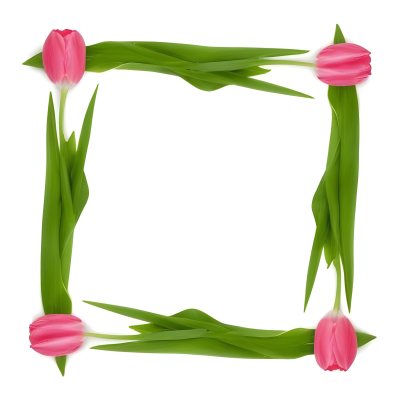 Pink Tulips Arranged In A Circular Frame On A Gray Background 12 0137