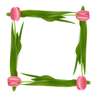 Pink Tulips Arranged In A Circular Frame On A Gray Background 13 De5d