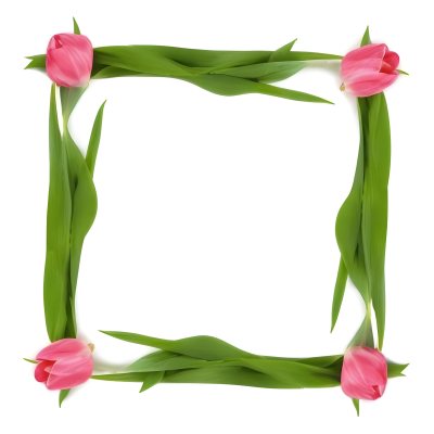 Pink Tulips Arranged In A Circular Frame On A Gray Background 15 E012