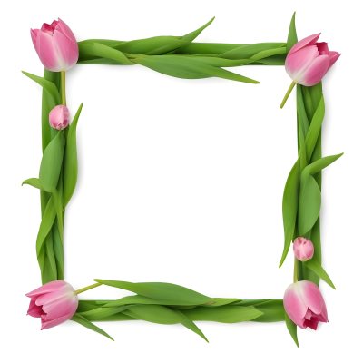 Pink Tulips Arranged In A Circular Frame On A Gray Background 2 2e0b