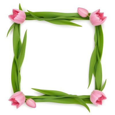 Pink Tulips Arranged In A Circular Frame On A Gray Background 3 Badf