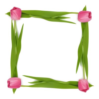 Pink Tulips Arranged In A Circular Frame On A Gray Background 4 31e5