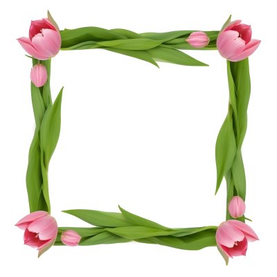 Pink Tulips Arranged In A Circular Frame On A Gray Background 6 34a4