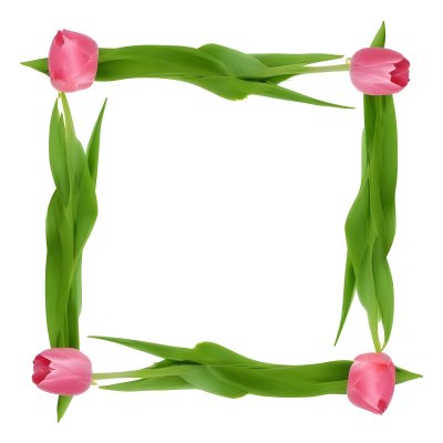 Pink Tulips Arranged In A Circular Frame On A Gray Background 7 F9c9