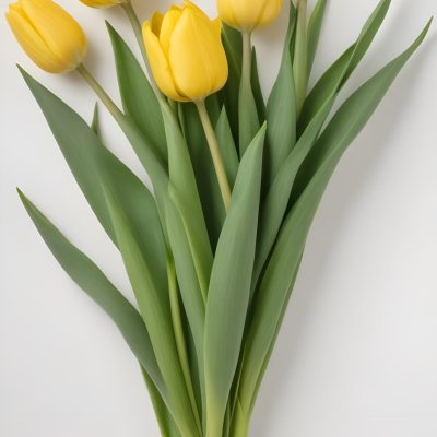 Yellow Tulips With Green Stems And Leaves Against 38 Da07