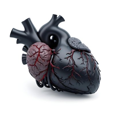 A Black Anatomical Heart